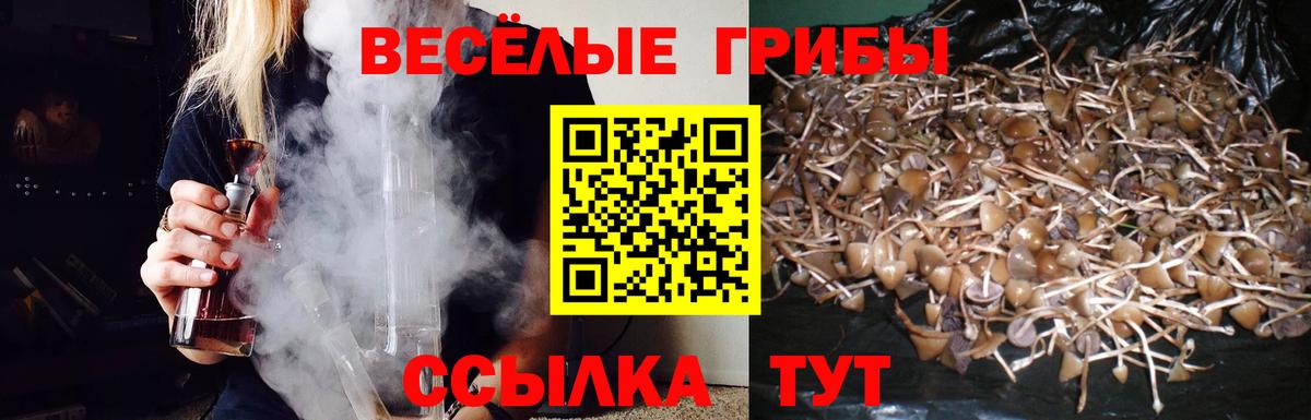 Галлюциногенные грибы Magic Shrooms  Псилоцибиновые грибы прущие грибы  Избербаш  купить   Вход с VPN 